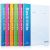 Wire Bd. Softcover Notebook 100P.A4 Assorted 6921734976901